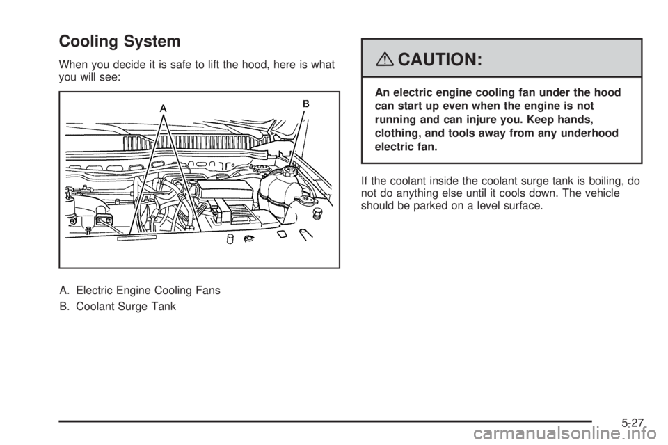 PONTIAC TORRENT 2008  Owners Manual Cooling System
When you decide it is safe to lift the hood, here is what
you will see:
A. Electric Engine Cooling Fans
B. Coolant Surge Tank{CAUTION:
An electric engine cooling fan under the hood
can 