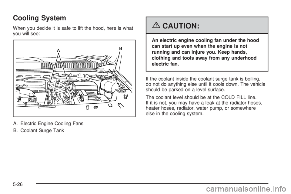 PONTIAC TORRENT 2006  Owners Manual Cooling System
When you decide it is safe to lift the hood, here is what
you will see:
A. Electric Engine Cooling Fans
B. Coolant Surge Tank{CAUTION:
An electric engine cooling fan under the hood
can 