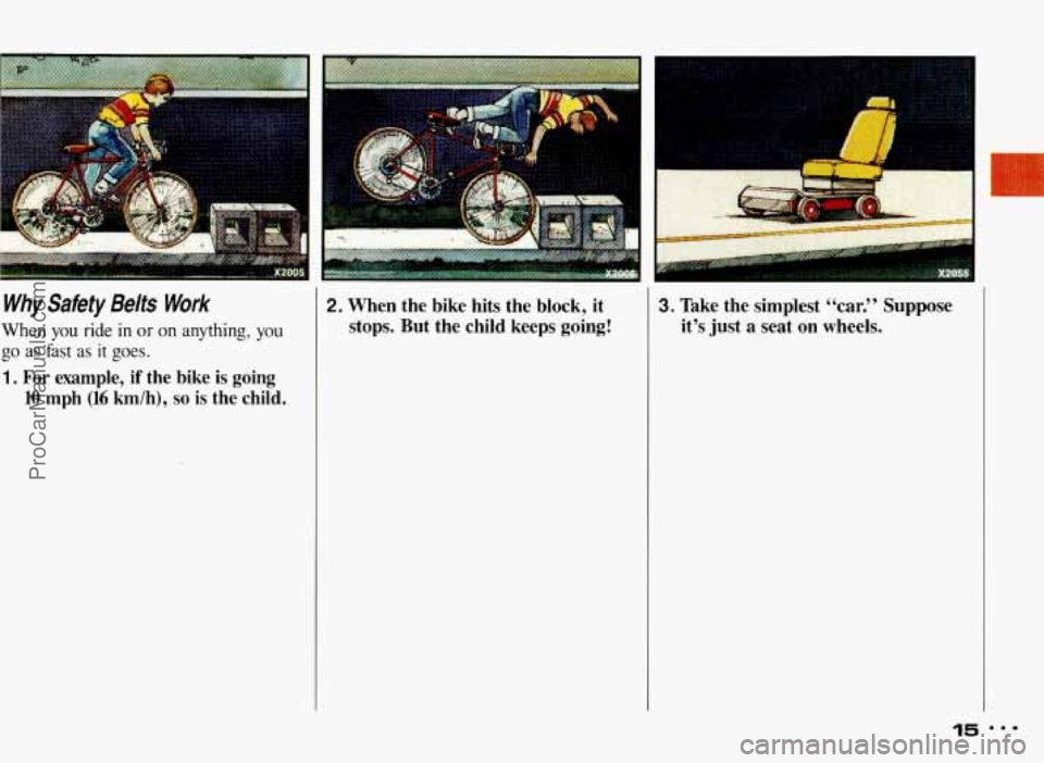 PONTIAC BONNEVILLE 1993  Owners Manual Why  Safety  Belfs  Work 
When you ride  in  or  on anything,  you 
go as fast as it goes. 
1. For example, if the  bike is going 
10 mph (16 kmlh), so is the  child. 
2. When  the  bike  hits  the  b