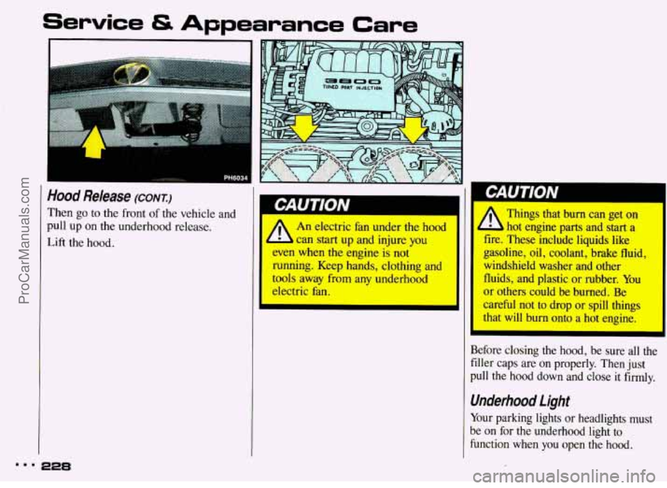 PONTIAC BONNEVILLE 1993  Owners Manual Service & Appearance Care 
Hood Release (CONT.) 
Then go  to  the  front of the vehicle  and 
pull up  on  the  underhood  release. 
Lift the  hood. 
Dm. 228 
I 
I GAUTION I I 11 
Qr 
An electric fim 