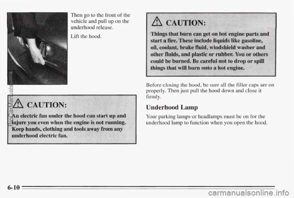 PONTIAC BONNEVILLE 1995  Owners Manual Then go to  the  front of the 
vehicle and pull  up on the 
underhood  release. 
Lift the  hood. 
Before closing the hood, be sure dl the filler caps are on 
properly.  Then just pull the hood  down a
