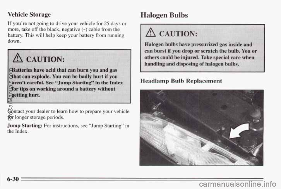 PONTIAC BONNEVILLE 1995  Owners Manual Vehicle Storage 
If you’re not  going to drive your  vehicle  for 25 days or 
more,  take 
off the black,  negative (-) cable from  the 
battery.  This will help  keep  your  battery  from running 
