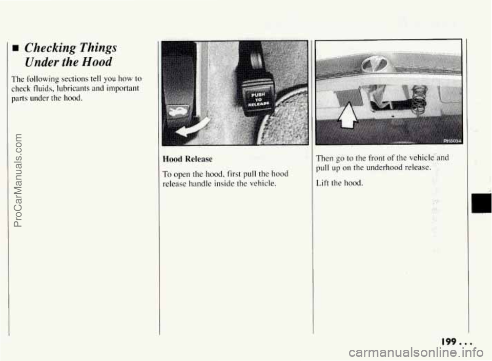 PONTIAC BONNEVILLE 1994  Owners Manual rn Checking Things 
Under the Hood 
The  following sections tell you how to 
check  fluids, lubricants  and  important 
parts  under  the  hood. 
Hood Release 
To open the hood, first pull the  hood 
