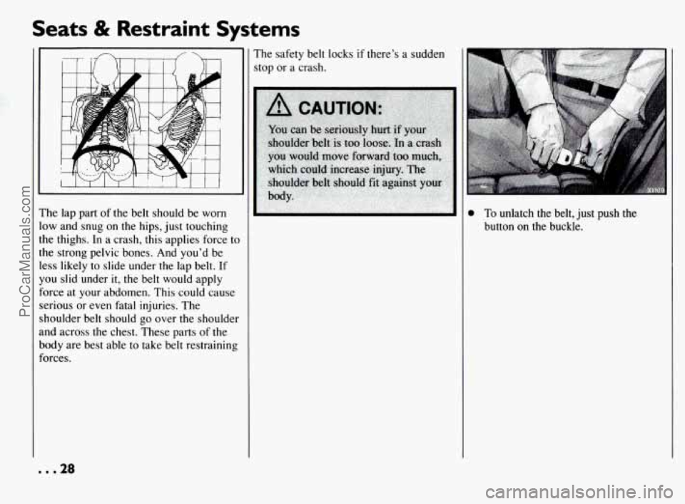 PONTIAC BONNEVILLE 1994  Owners Manual Seats & Restraint Systems 
~  ~~ 
The lap part of the  belt  should  be  worn 
low and  snug on the  hips,  just touching 
the thighs.  In a crash, this applies force 
to 
the  strong  pelvic  bones. 