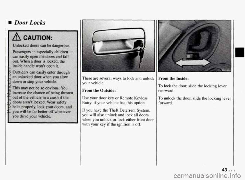 PONTIAC BONNEVILLE 1994  Owners Manual Door Locks 
There are  several  ways  to lock and  unlock 
your  vehicle. 
From  the Outside: 
Use  your  door  key  or  Remote  Keyless 
Entry,  if your  vehicle  has this option. 
If  you  have  the