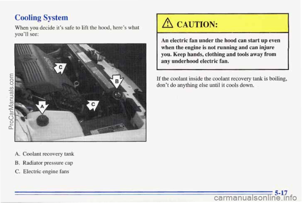 PONTIAC BONNEVILLE 1996  Owners Manual Cooling System 
When  you decide its safe  to  lift  the  hood,  heres  what 
youll  see: 
C 
An  electric  fan  under  the  hood  can  start  up  even 
when  the  engine  is  not  running  and  ca
