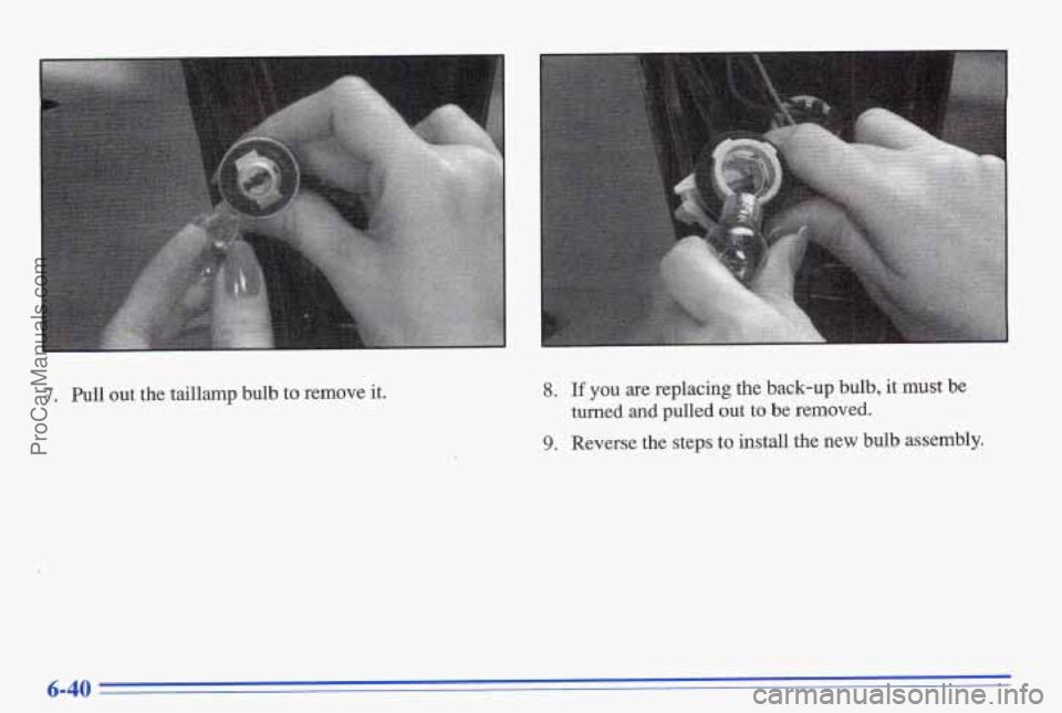 PONTIAC BONNEVILLE 1996  Owners Manual 7. Pull  out  the  taillamp  bulb  to  remove it. 8. If you are replacing the back-up bulb, it must  be 
9. Reverse  the  steps  to  install  the  new  bulb  assembly.  turned  and  pulled 
but to be 