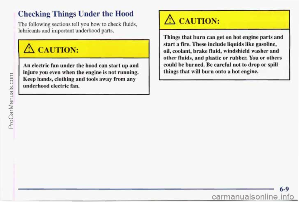 PONTIAC BONNEVILLE 1997  Owners Manual Checking Things  Under  the Hood 
The following sections tell you  how to check fluids, 
lubricants  and important underhood parts. 
An electric  fan  under  the  hood can  start  up  and 
injure 
you