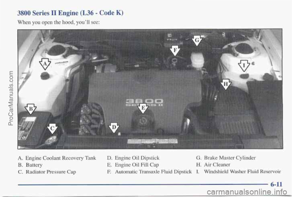 PONTIAC BONNEVILLE 1997  Owners Manual 3800 Series I1 Engine (L36 - Code K) 
When you open the hood, you’ll see: 
A.  Engine  Coolant  Recovery  Tank 
B. Battery 
C.  Radiator Pressure Cap 
D. Engine  Oil Dipstick G. Brake  Master  Cylin