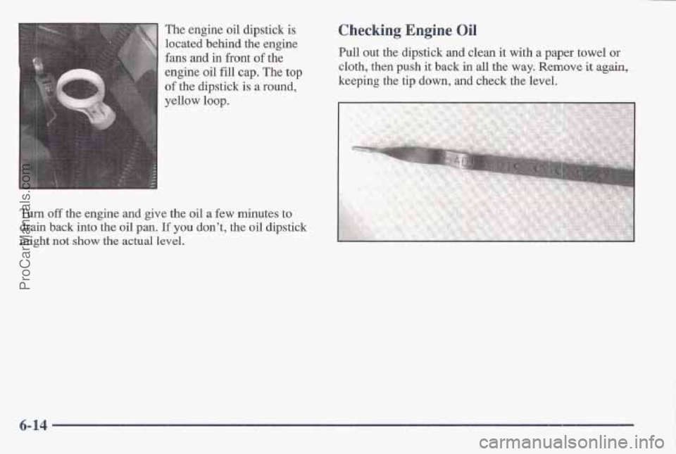 PONTIAC BONNEVILLE 1997  Owners Manual The  engine  oil dipstick is 
located behind the engine 
fans  and in front 
of the 
engine 
oil fill cap. The top 
of the  dipstick  is-a  round,- 
yellow  loop. 
Turn off the  engine  and give  the