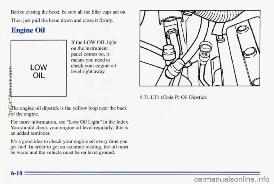 PONTIAC FIREBIRD 1996  Owners Manual Before  closing  the hood, be sure all the filler  caps are on. 
Then  just  pull the hood down and 
close it firmly. 
Engine Oil 
LOW 
OIL 
If the  LOW OIL light 
on the instrument 
panel comes  on, 