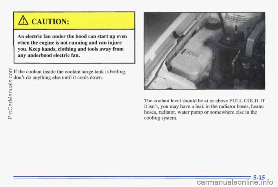 PONTIAC GRAND-AM 1996  Owners Manual  A CAUTION: 
An electric  fan  under  the  hood  can  start up even 
when  the  engine  is  not  running  and  can  injure 
you. Keep  hands,  clothing  and  tools away from 
any  underhood  electric