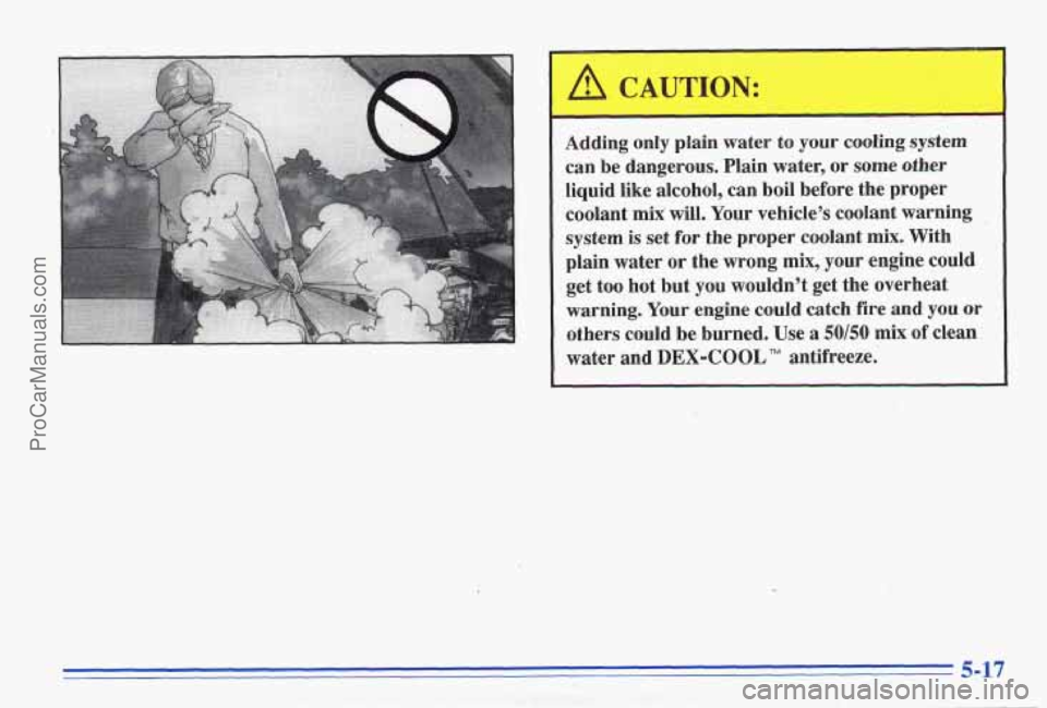 PONTIAC GRAND-AM 1996  Owners Manual Adding only plain  water to your  cooling  system 
can  be dangerous.  Plain water,  or 
some other 
liquid like alcohol,  can boil  before  the  proper 
coolant 
mix will.  Your  vehicles  coolant