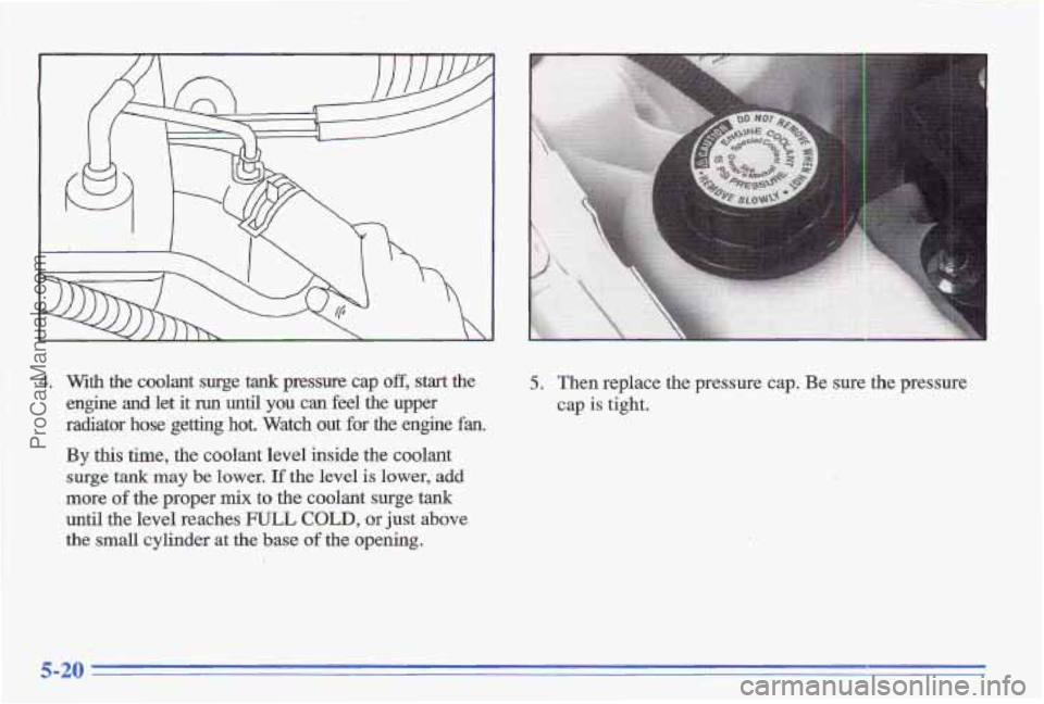 PONTIAC GRAND-AM 1996  Owners Manual 4.  With the coolant  surge  tank  pressure  cap off, start the 
engine and let it run until you can feel  the  upper 
radiator  hose 
getting hot. Watch out for the engine fan, 
By this time, the coo
