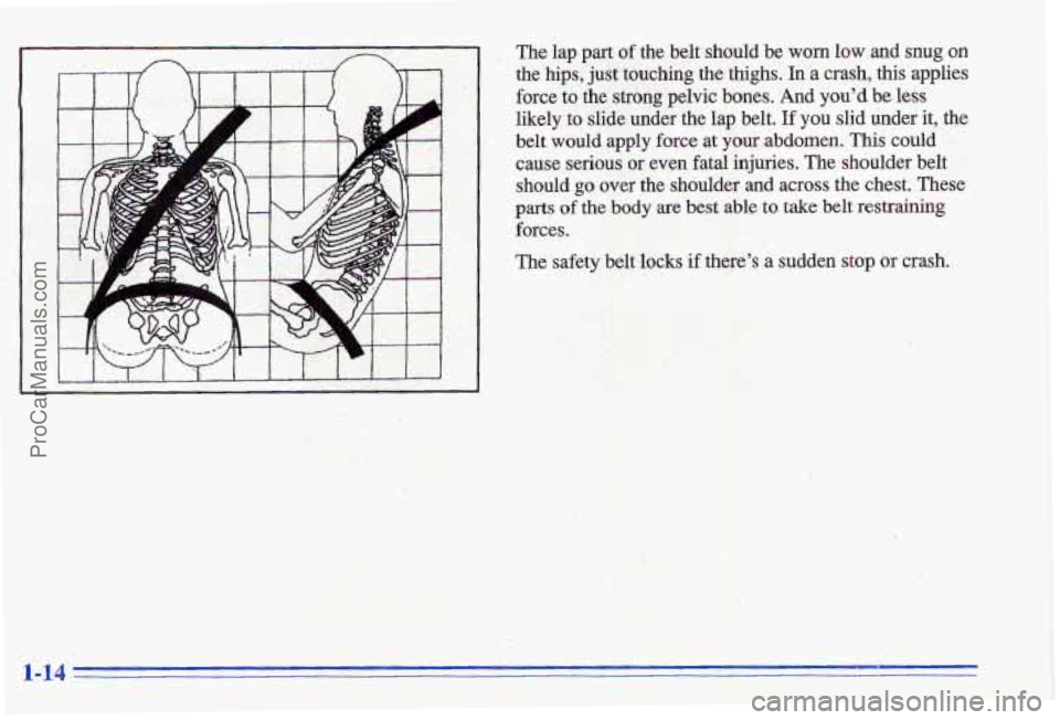 PONTIAC GRAND-AM 1996  Owners Manual L 
The lap part of the  belt shouldbe  worn low and  snug on 
the hips, just touching  the thighs. In a crash,  this  applies 
force to the shng  pelvic  bones.  And  youd be less 
likely to slide u