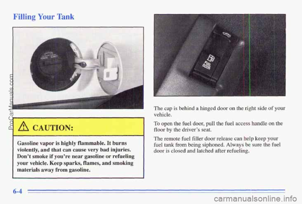 PONTIAC GRAND-AM 1996  Owners Manual Filling Your Tank 
Gasoline  vapor is highly flammable. It burns 
violently, 
and that can cause very bad injuries. 
Don’t smoke  if  you’re  near  gasoline  or  refueling 
your vehicle.  Keep  sp