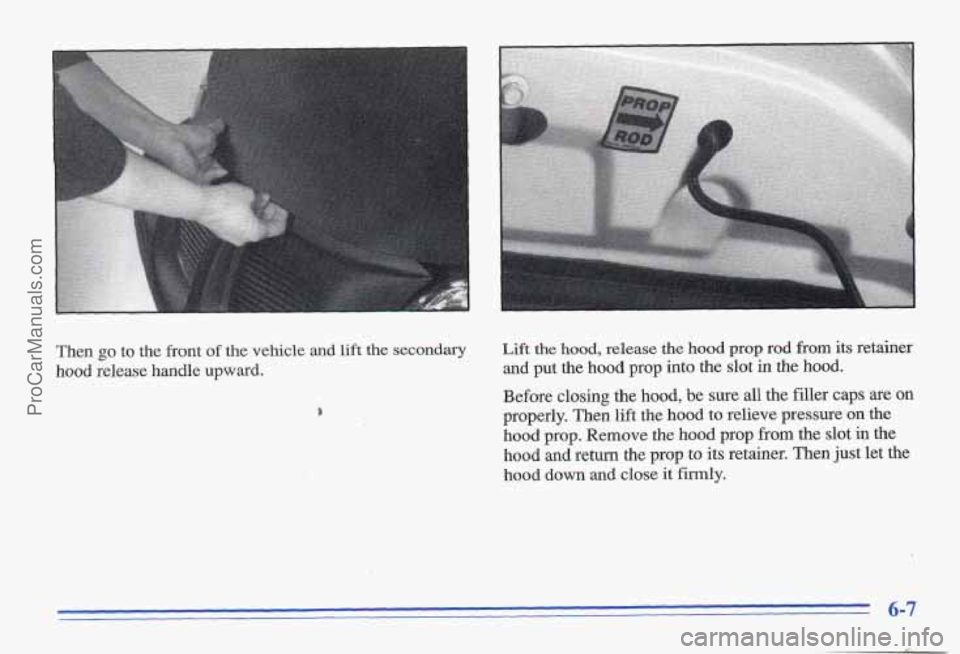 PONTIAC GRAND-AM 1996  Owners Manual Then go to  the front of the  vehicle and lift the secondary Lift the hood, release the hood prop rod  from  its  retainer 
hood release  handle upward. and  put  the  hood  prop  into  the  slot in t
