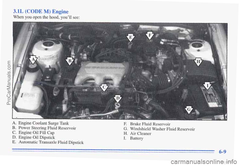 PONTIAC GRAND-AM 1996  Owners Manual 3.1L (CODE M) Engine 
When you open the hood, ou’ll  see: 
A. Engine  Coolant  Surge  Tank 
B. Power Steering Fluid Reservoir 
C. Engine Oil Fill Cap 
D. Engine Oil  Dipstick 
E. Automatic  Transaxl