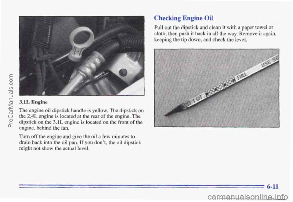 PONTIAC GRAND-AM 1996  Owners Manual 3.1L Engine 
The engine  oil dipstick handle is  yellow. The dipstick on 
the 2.4L engine is located  at  the  rear of the  engine.  The 
dipstick  on 
the 3.1L engine is located on the front of the 
