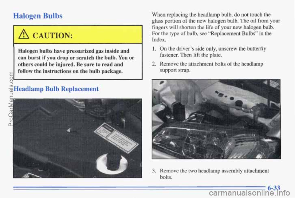 PONTIAC GRAND-AM 1996  Owners Manual Halogen Bulbs 
’ I CAUTION: 
I 
Halogen  bulbs  have  pressurized gas-inside and 
can 
burst if you drop or scratch  the  bulb.  You or 
others  could be  injured. Be sure  to  read  and 
follow  th