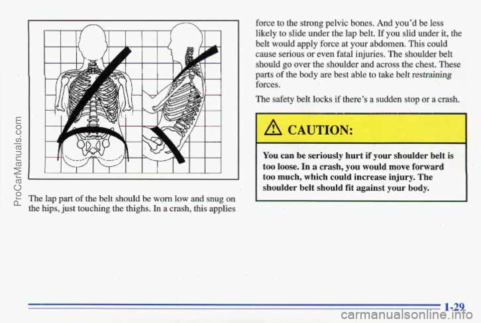 PONTIAC GRAND-AM 1996  Owners Manual The  lap  part of the  belt  should  be  worn  low  and  snug  on 
the  hips,  just touching  the  thighs. 
In a crash,  this  applies  force 
to the  strong  pelvic  bones. 
And you’d  be  less 
li
