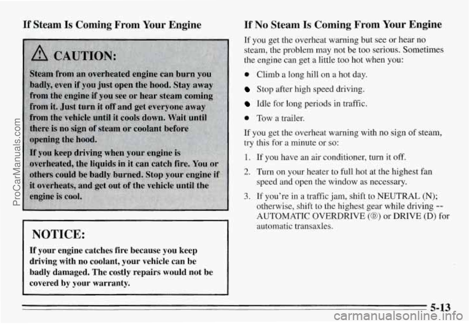 PONTIAC GRAND-AM 1995  Owners Manual If Steam Is Coming  From Your Engine 
NOTICE: 
If your  engine  catches  fire  because  you  keep 
driving  with  no  coolant,  your  vehicle  can  be 
badly  damaged.  The  costly  repairs  would  no