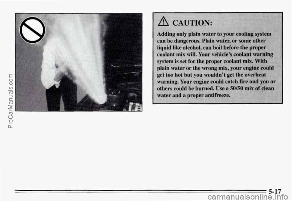 PONTIAC GRAND-AM 1995  Owners Manual 5-17 
ProCarManuals.com 
