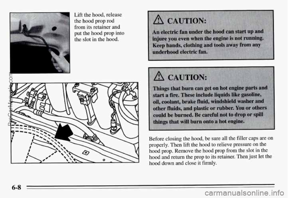 PONTIAC GRAND-AM 1995  Owners Manual I 
Lift the hood, release 
the  hood  prop  rod 
from  its  retainer and 
put  the hood  prop  into 
the  slot  in the  hood. 
Before  closing  the hood,  be  sure  all  the  filler caps  are  on 
pro