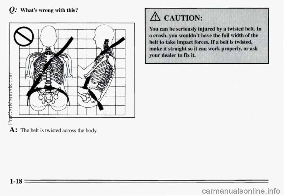 PONTIAC GRAND-AM 1995  Owners Manual What’s wrong with  this? 
L I 1 I 1 I  I I I I  I I 
A: The belt is twisted across the body. 
1-1s 
ProCarManuals.com 