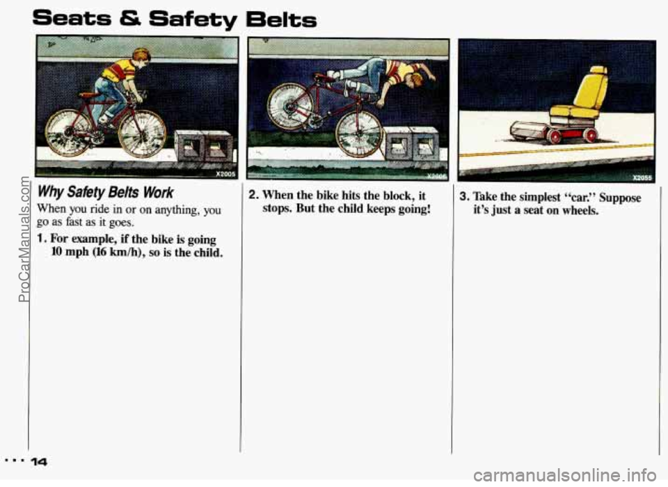 PONTIAC GRAND-AM 1993  Owners Manual Seats & Safety 6elts 
I4 
Why Safety Belts Work 
When you ride  in or on anything, you 
go as fast  as  it  goes. 
1. For example,  if  the  bike  is  going 
10 mph (16 km/h), so is the  child. 
14 
2