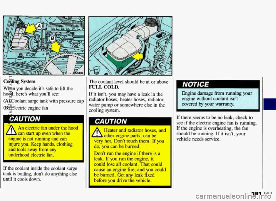PONTIAC GRAND-AM 1993 Owners Manual Cooling System
When you decide it’s safe to lift the
hood, here’s what you’ll see:
(A) Coolant surge tank with pressure cap
(B) Electric engine fan
bAU I IVIV
1 /r An electric PONTIAC GRAND-AM 1993 Owners Manual Cooling System
When you decide it’s safe to lift the
hood, here’s what you’ll see:
(A) Coolant surge tank with pressure cap
(B) Electric engine fan
bAU I IVIV
1 /r An electric