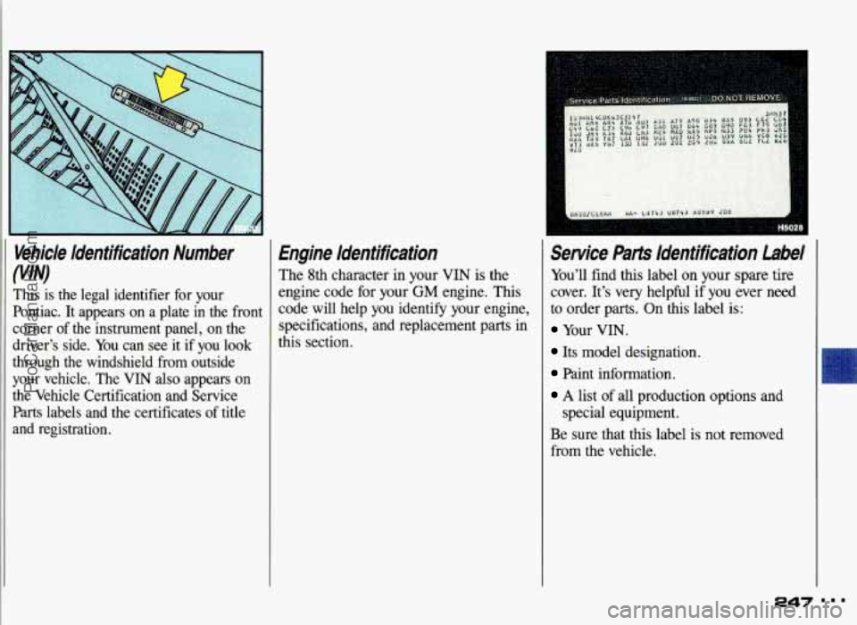 PONTIAC GRAND-AM 1993  Owners Manual (VlN) Vehicle  Identification  Number 
This 
is the  legal  identifier  for  your 
Pontiac.  It  appears  on  a  plate  in  the  front 
corner  of the  instrument  panel, 
on the 
drivers  side.  You