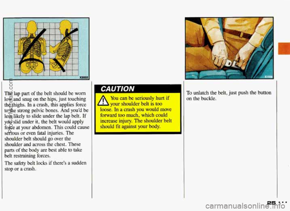PONTIAC GRAND-AM 1993  Owners Manual I 
The  lap part of  the belt  should  be worn 
low  and  snug on the hips, just touching 
the  thighs, 
In a crash, this applies  force 
to  the  strong  pelvic  bones.  And  you’d  be 
less  likel