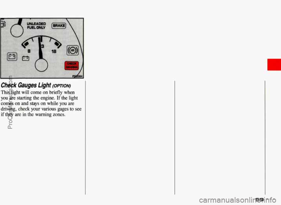 PONTIAC GRAND-AM 1993  Owners Manual . .. . .. 
Check Gauges Light (opTIoN) 
This light will come  on  briefly when 
you are  starting  the  engine. If the  light 
comes 
on and  stays  on while you are 
driving,  check your various gage
