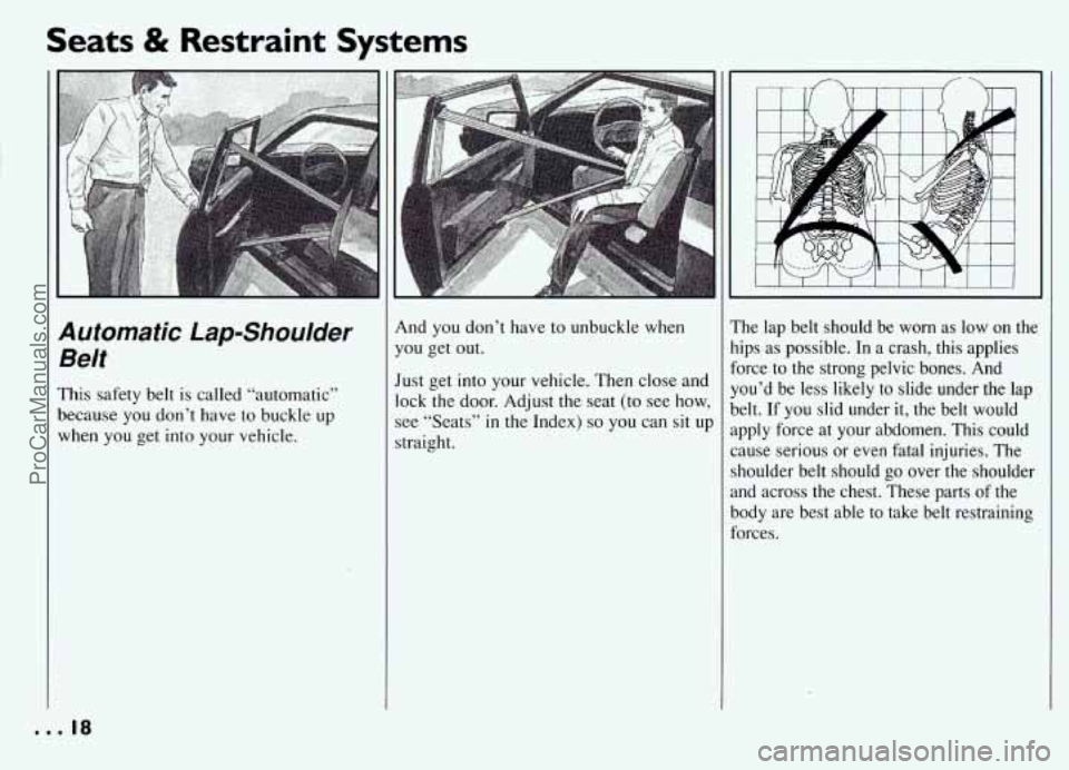PONTIAC GRAND-AM 1994  Owners Manual Seats & Restraint Systems 
automatic  Lap-Shoulder 
3elt 
’his safety  belt  is  called “automatic” 
lecause  you  don’t have to buckle  up 
vhen you  get  into your  vehicle. 
P 
Y 
J1 
SI 
m