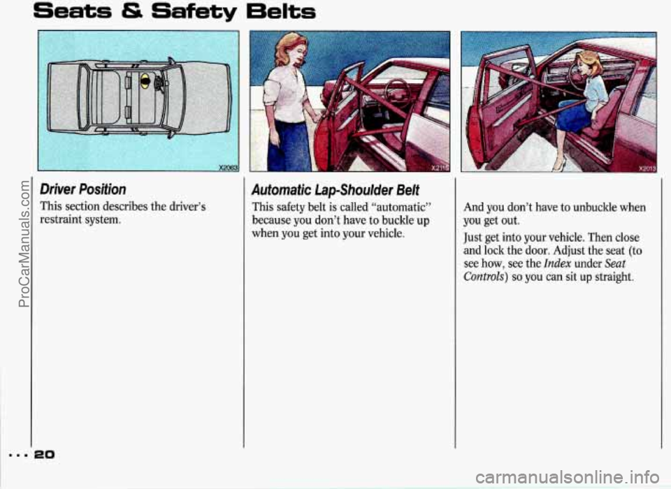PONTIAC GRAND-PRIX 1993  Owners Manual ... 
Seats & Safety 6elts 
Driver  Position 
This section describes the driver’s 
restraint  system. 
20 
Automatic  Lap-Shoulder  Belt 
This  safety  belt  is  called  “automatic” 
because  you
