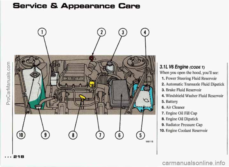 PONTIAC GRAND-PRIX 1993  Owners Manual Service & Appearance Care 
21% 
W6118 
3.IL V6 Engine (CODE T) 
When  you open the hood,  you’ll  see: 
1. Power  Steering  Fluid  Reservoir 
2. Automatic  Transaxle  Fluid  Dipstick 
3. Brake  Flui