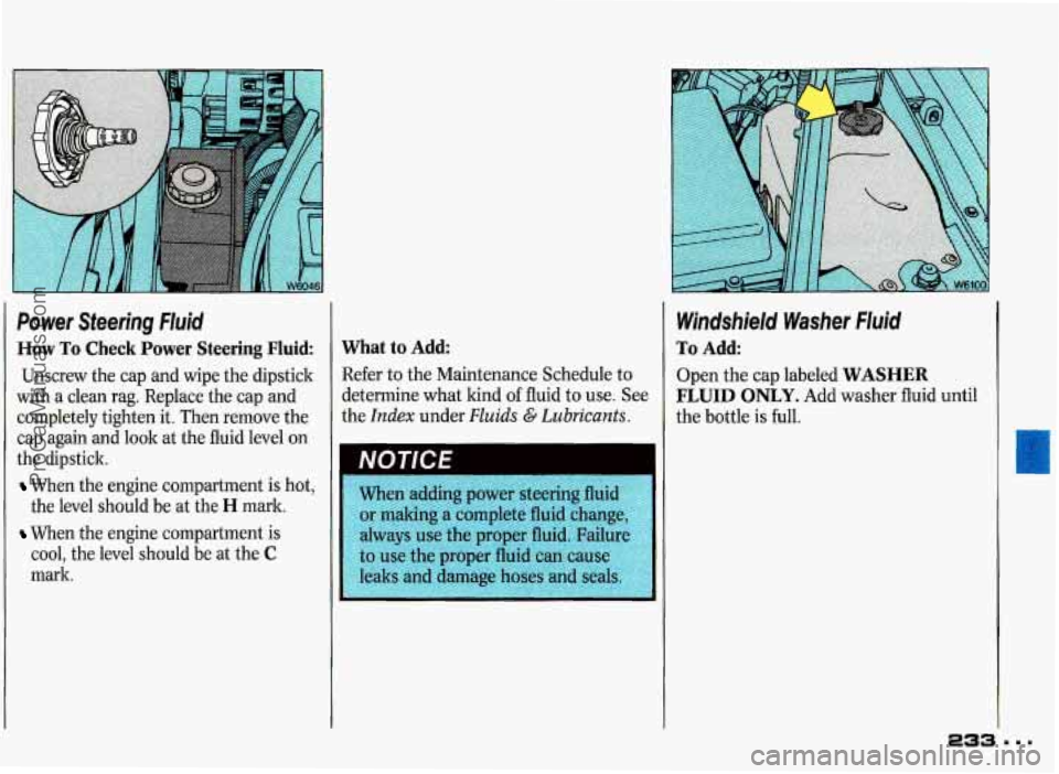 PONTIAC GRAND-PRIX 1993  Owners Manual Power  Steering  Fluid 
How To Check Power  Steering  Fluid: 
Unscrew the cap  and  wipe  the dipstick 
with  a  clean  rag.  Replace  the cap  and 
completely  tighten  it. Then  remove  the 
cap  ag