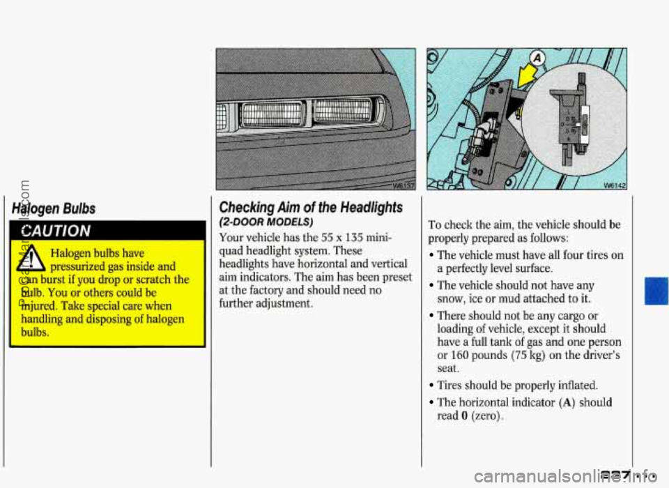 PONTIAC GRAND-PRIX 1993  Owners Manual Halogen Bulbs 
Halogen  bulbs have 
L b pressurized  gas  inside  and 
can  burst  if you  drop  or  scratch  the 
bulb.  You  or  others  could  be  injured.  Take  special  care  when 
handling  and