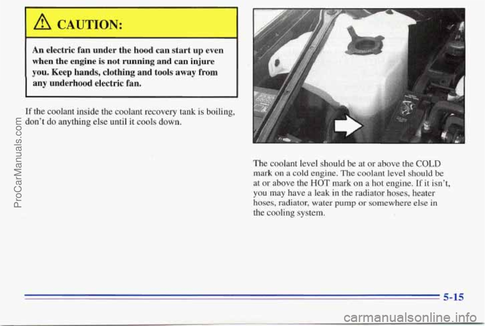 PONTIAC PONTIAC 1996  Owners Manual An electric  fan  under  the  hood  can  start  up  even 
when 
the engine  is  not  running  and  can  injure 
you. Keep  hands,  clothing  and  tools  away  from 
any  underhood  electric  fan. 
If 