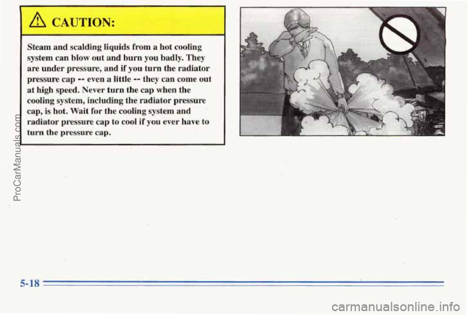 PONTIAC PONTIAC 1996  Owners Manual Steam and scalding  liquids  from  a  hot  cooling 
system  can 
blow out and  burn  you badly. They 
are  under  pressure, and if 
you turn  the  radiator 
pressure cap 
-- even a little I- they can