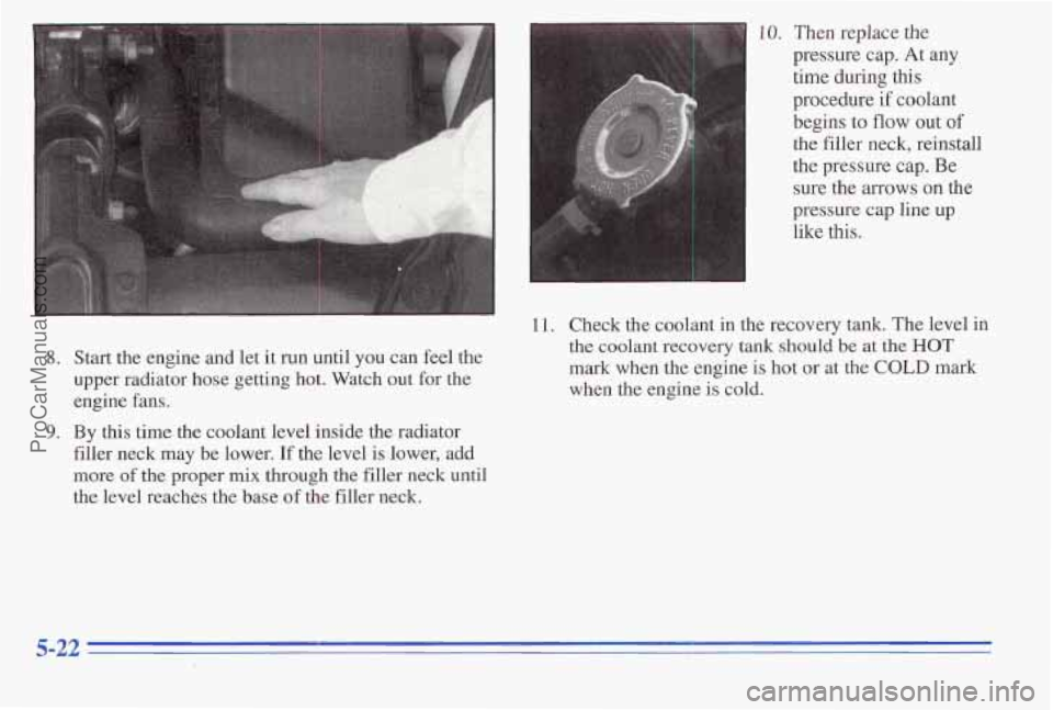 PONTIAC PONTIAC 1996  Owners Manual 8. Start  the engine and let it run  until you can feel  the 
upper  radiator  hose getting  hot.  Watch 
out for the 
engine fans. 
9. By  this  time the  coolant  level  inside  the  radiator 
fille