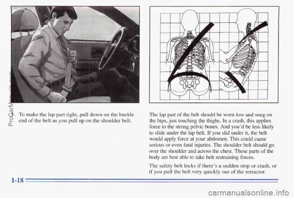 PONTIAC PONTIAC 1996  Owners Manual 5. To make the lap part tight, pull  down  on the buckle I 
end of the belt as you  pull  up on the shoulder belt. 
14" 
The lap part of the belt  should be worn  low and snug  on 
the  hips,  just 
t