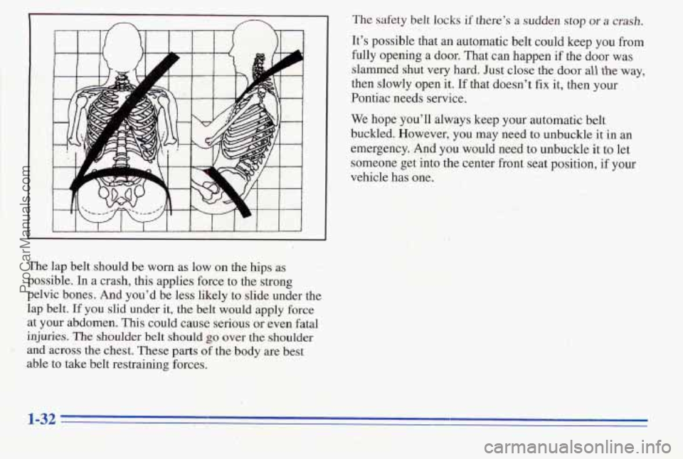 PONTIAC PONTIAC 1996 Owners Manual ‘2
The lap belt ,should be worn as low on the hips as :: ,’ +-
possible. In a crash, this applies force to the strong ;; I
pelvic bones. And you’d be less likely to slide under the
lap PONTIAC PONTIAC 1996 Owners Manual ‘2
The lap belt ,should be worn as low on the hips as :: ,’ +-
possible. In a crash, this applies force to the strong ;; I
pelvic bones. And you’d be less likely to slide under the
lap