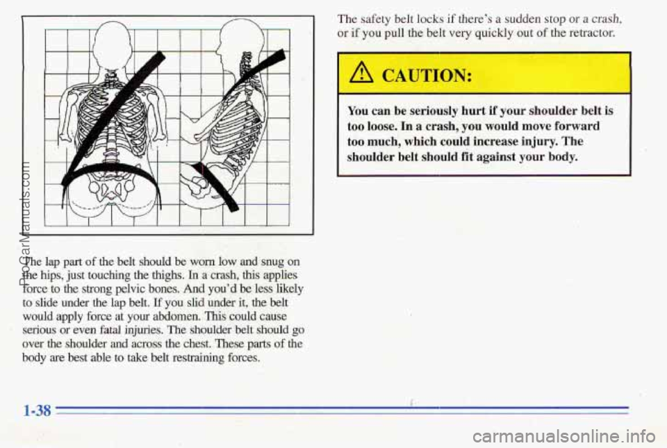 PONTIAC PONTIAC 1996  Owners Manual The  lap  part of the  belt  should  be worn low adsnug on 
the hips, just  touching the thighs. In a crash, this applies 
force to the strong pelvic bones. And you’d be  less-likely 
to  slide 
und