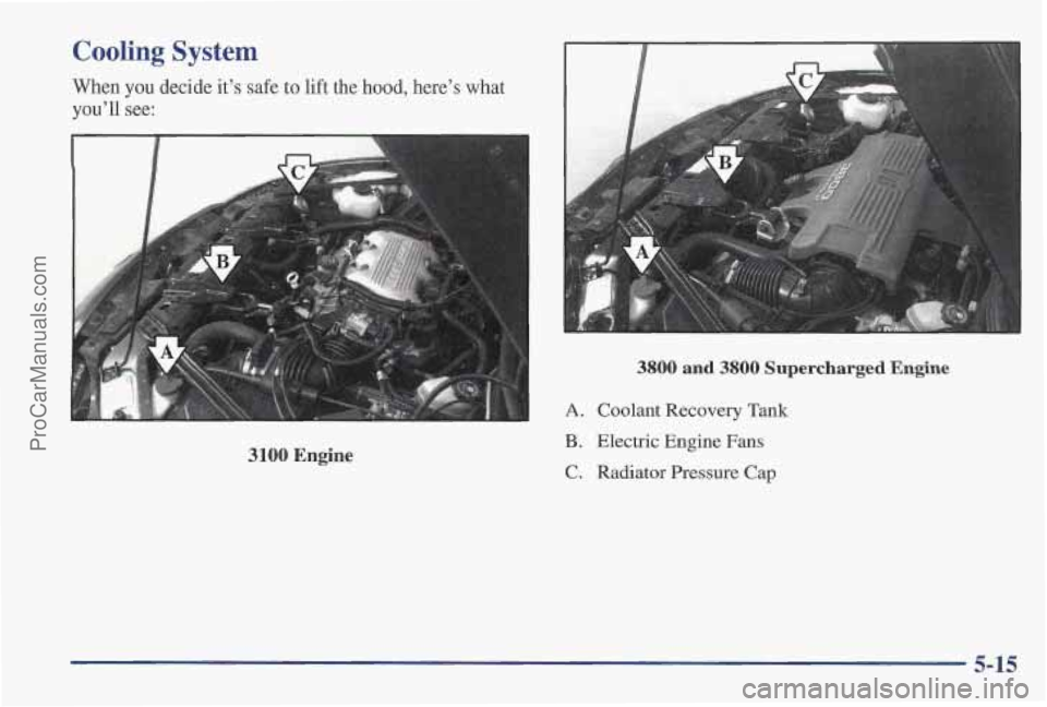 PONTIAC PONTIAC 1997  Owners Manual Cooling System 
When you decide it’s safe  to  lift the hood, here’s what 
you’ll see: 
3100 Engine 
3800 and 3800 Supercharged  Engine 
A. Coolant Recovery  Tank 
B. Electric  Engine Fans 
C. R