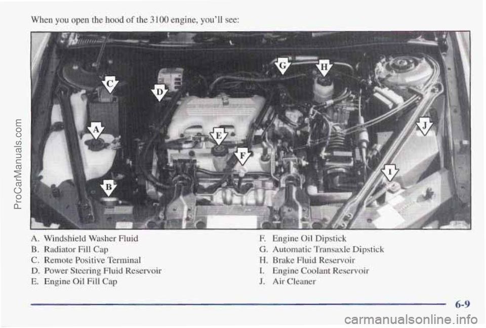 PONTIAC PONTIAC 1997  Owners Manual When  you open the hood of the 3 100 engine,  you’ll see: 
A. Windshield Washer  Fluid 
B. Radiator Fill  Cap 
C. Remote Positive Terminal 
D. Power Steering Fluid Reservoir 
E. Engine Oil Fill  Cap