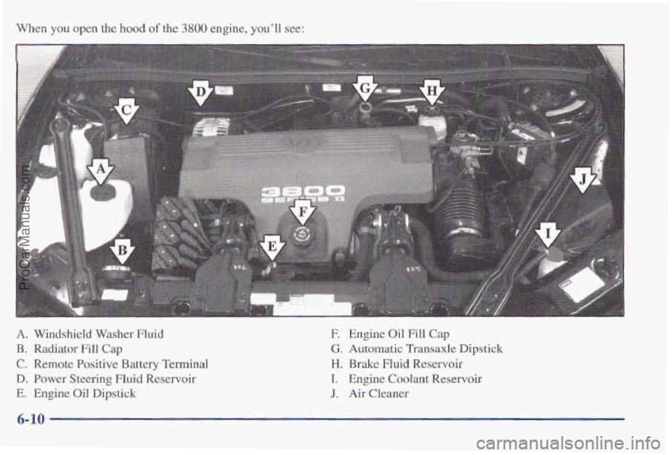 PONTIAC PONTIAC 1997  Owners Manual When you open the hood of the 3800 engine, you’ll see: 
A. Windshield Washer Fluid E Engine Oil  Fill Cap 
€3. Radiator Fill Cap G. Automatic Transaxle Dipstick 
C. Remote Positive Battery Termina