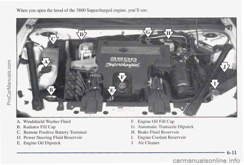 PONTIAC PONTIAC 1997  Owners Manual When you open the hood of the 3800 Supercharged engine, youll see: 
- : I: .,, 
A. Windshield Washer Fluid 
B. Radiator  Fill Cap 
C. Remote Positive Battery Terminal 
D. Power  Steering  Fluid Reser