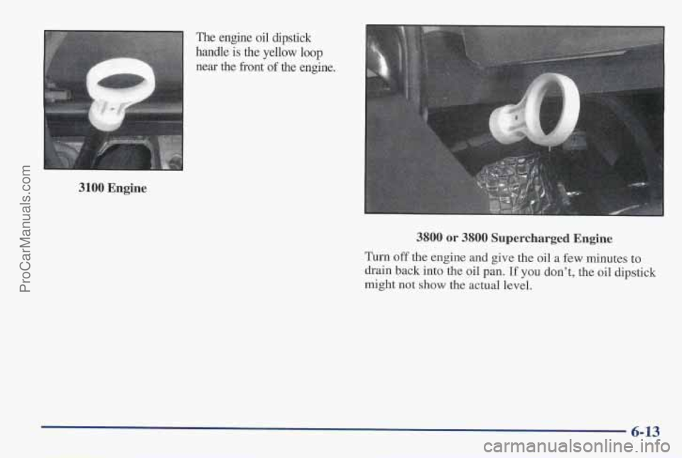 PONTIAC PONTIAC 1997  Owners Manual 3100 Engine 
The engine  oil dipstick 
handle  is 
the yellow loop 
near  the  front of the  engine. 
c 
3800  or  3800  Supercharged Engine 
Turn off the engine  and give  the oil  a few minutes  to 